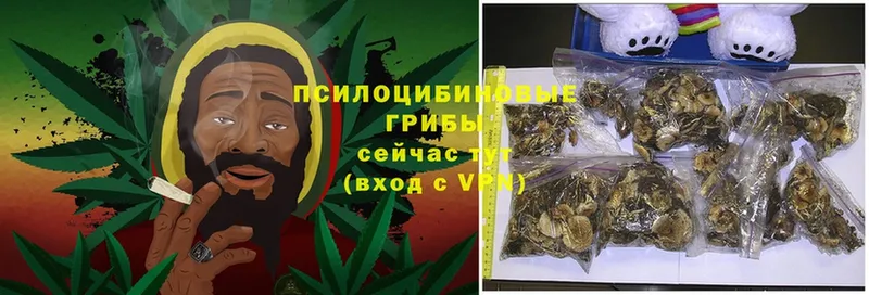 mega ссылки  Гаврилов Посад  Псилоцибиновые грибы MAGIC MUSHROOMS 